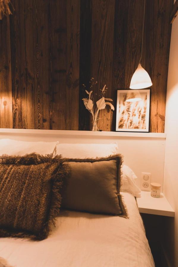 Les Ilots - Joseph Blanc Apartment 2 Rooms On The Lake Wifi & Balcony آنسي المظهر الخارجي الصورة